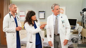 Poster for The Zebra Poster for The Zebra