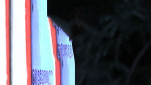 Poster for Will Bani Marry Jay?