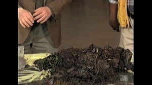 Poster for Revolting Silt