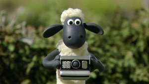 Poster for Shaun Shoots the Sheep