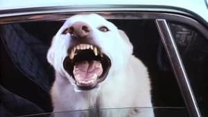 Poster for Man's Best Friend