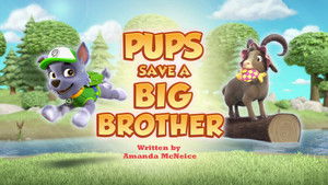 Poster for Pups Save a Big Brother