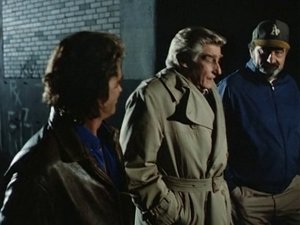 Poster for Basinger's New York