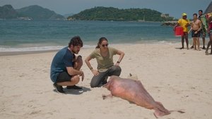 Poster for Wish You Were Here