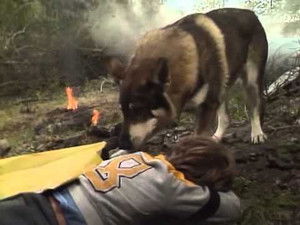 Poster for Sartech (1)