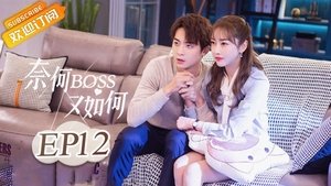 Poster for Episode 12