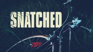 Poster for Snatched