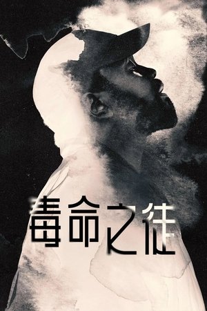 毒窃之徒