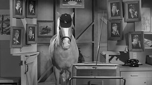 Poster for Leo Durocher Meets Mister Ed