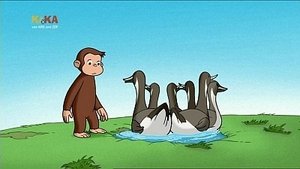 Poster for Water to Ducks