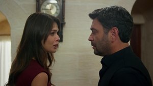 Poster for Episode 35