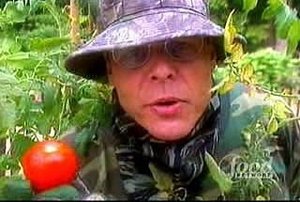 Poster for Tomato Envy