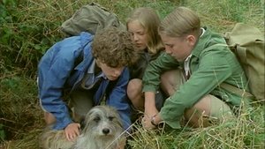 Poster for Five on a Hike Together