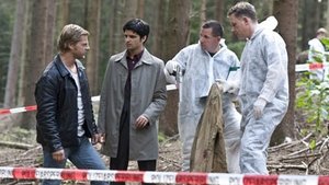 Poster for Survival Training