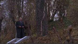 Poster for Maigret at the Doctors