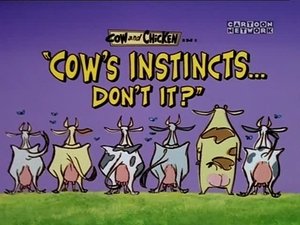 Poster for Cow's Instincts... Don't It?