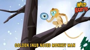 Poster for Golden Snub Nosed Monkey Man