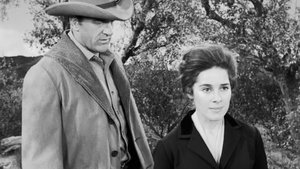 Poster for The Widow