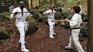 Poster for We Had a Lot of Evil Spirits Apparently