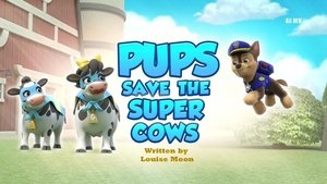 Poster for Pups Save the Super Cows