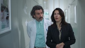 Poster for Like a Guinea Pig on a Hot Tin Roof