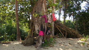 Poster for Episode 29