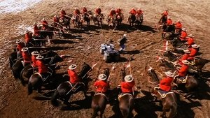 Poster for All the Queen's Horses