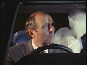 Poster for What The Butler Saw