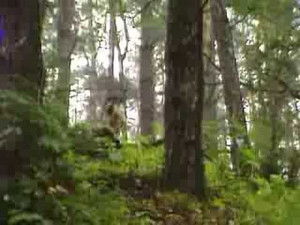 Poster for The Balloonist