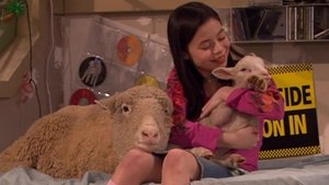 Poster for Sheep Thrills