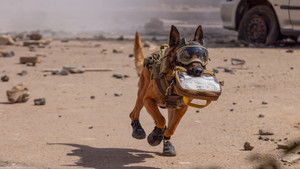 Poster for Episode 3