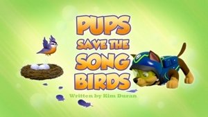 Poster for Pups Save the Songbirds