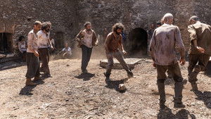 Poster for Our Own Blood