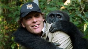 Poster for Animal Reunions