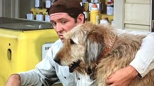 Poster for A Man's Best Friend