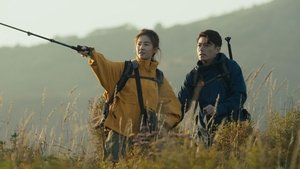 Poster for Accepting Reality