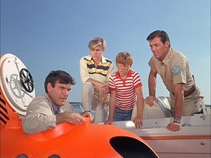 Poster for The Call of the Dolphin