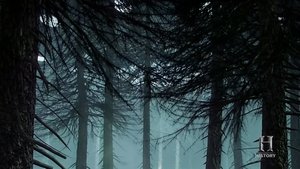 Poster for The Returned