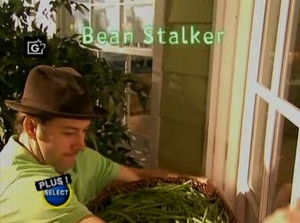 Poster for Bean Stalker