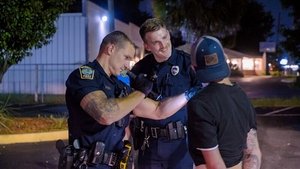 Poster for Foiled again