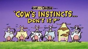 Poster for Cow's Instincts... Don't It?