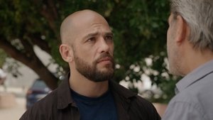 Poster for Episode 217