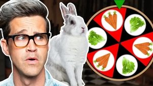 Poster for Can We Bet On What This Bunny Wants? (GAME)