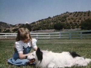 Poster for Man's Best Friend (1)