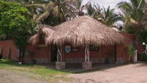 Poster for Aguas con el Coco Poster for Aguas con el Coco