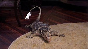 Poster for 101 Lizards