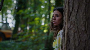 Poster for Lawn of the Dead