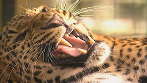 Poster for Episode 10 Poster for Episode 10