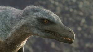 Poster for Uncovered: Did Velociraptor Have Feathers? Poster for Uncovered: Did Velociraptor Have Feathers?