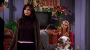 Poster for The One Where Chandler Doesn't Like Dogs